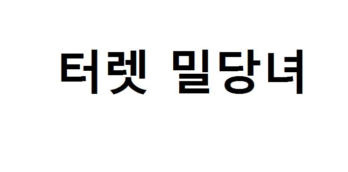 터렛밀당녀