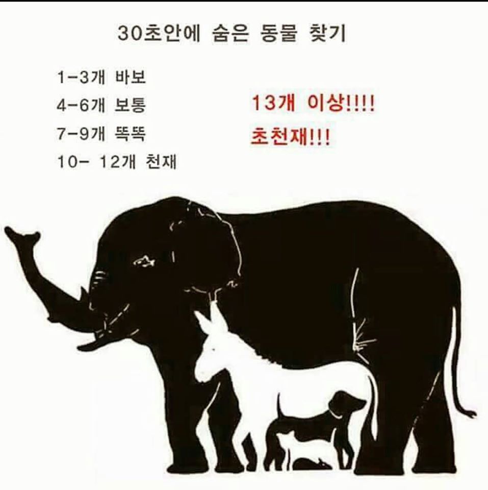 천재퀴즈