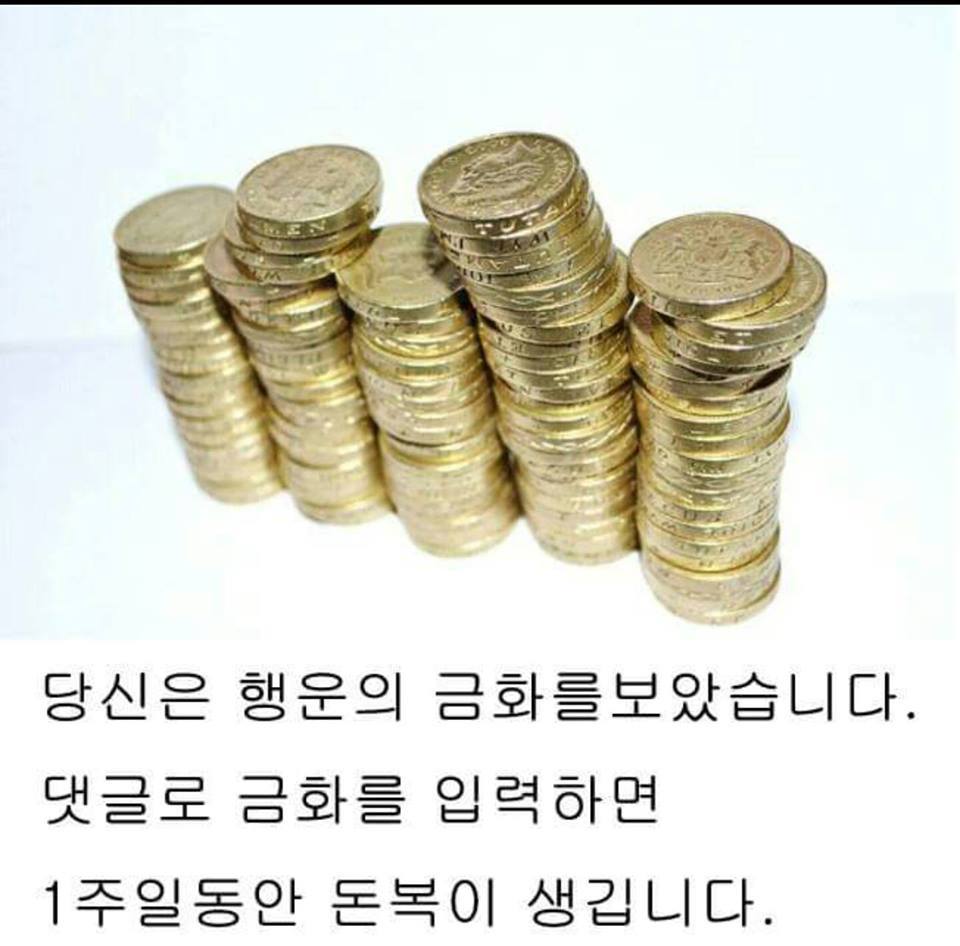 고고고~