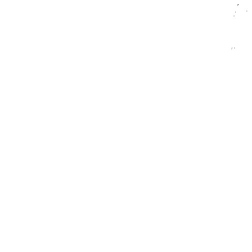 화이트